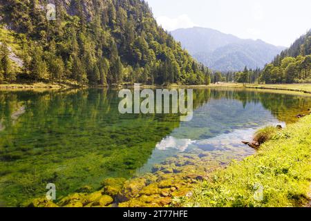 Kristallklarer, sommerkalter Quellsee, Quelle der weißen Traun, Deutschland, Bayern, Chiemgauer Alpen, Rupolding Stockfoto