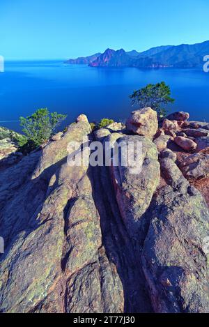 Aussichtspunkt namens Chateau Fort in der Calanche von Piana, Frankreich, Korsika, Golfe de Porto Stockfoto