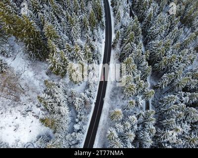 Schneebedeckte Bäume mit Straße von oben Stockfoto