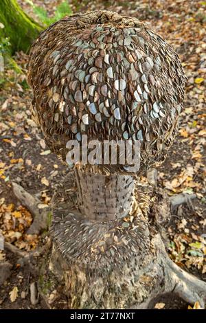 Money Tree mit Münzen, die in die Bark Dollar Glen, Dollar, Clackmannanshire, Schottland gehämmert wurden Stockfoto