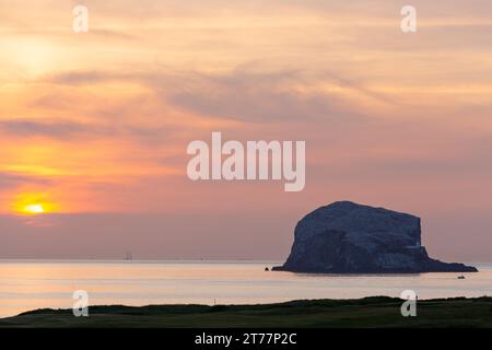 Sonnenaufgang am Bass Rock, North Berwick, East Lothian, Schottland Stockfoto