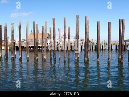 Pier-Pfähle am Yachthafen Stockfoto