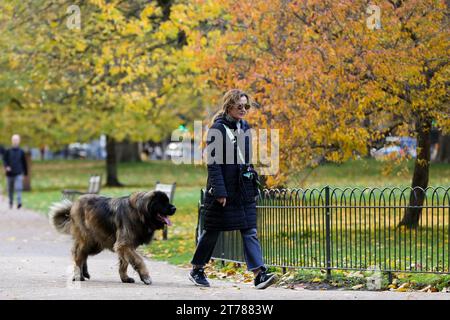 London, Großbritannien. November 2023. Eine Frau geht mit ihrem Hund im St. James's Park in London, Großbritannien, 13. November 2023. Quelle: Xinhua/Alamy Live News Stockfoto