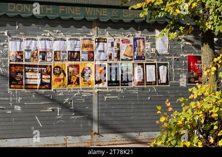 Eine Mauer an der Hooper Street in Williamsburg, die Werbeplakate und Auflistungen von Veranstaltungen enthält, die hauptsächlich in jiddischer Sprache stattfinden. In Brooklyn, New York. Stockfoto