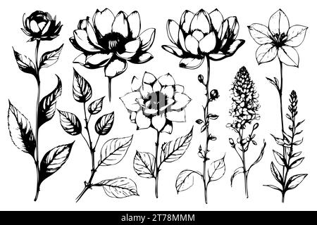 Das florale Vektorelement machte Wildblumen. Botanische Blumensammlung mit rosafarbenen Blumen, Blattzweigen, Kranz, Blättern, goldener schwarzer Hand gezeichnet. Elegante Blumen für Dekor, Drucke, Logo, Hochzeit, Karten. Stock Vektor