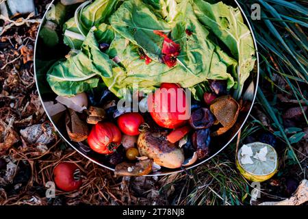 Komposthaufen, zersetzende organische Abfälle, biologisch abbaubare Abfälle wie Gemüse, Obst, Eierschalen, Kaffeesatz Stockfoto