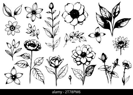 Das florale Vektorelement machte Wildblumen. Botanische Blumensammlung mit rosafarbenen Blumen, Blattzweigen, Kranz, Blättern, goldener schwarzer Hand gezeichnet. Elegante Blumen für Dekor, Drucke, Logo, Hochzeit, Karten. Stock Vektor