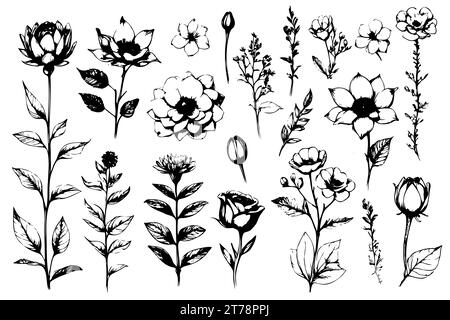 Das florale Vektorelement machte Wildblumen. Botanische Blumensammlung mit rosafarbenen Blumen, Blattzweigen, Kranz, Blättern, goldener schwarzer Hand gezeichnet. Elegante Blumen für Dekor, Drucke, Logo, Hochzeit, Karten. Stock Vektor