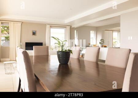 Nahaufnahme eines großen Holztisches, Stühlen und Pflanzen im Esszimmer zu Hause Stockfoto