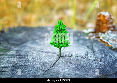 Kleine grüne Baumfigur auf einem alten Baumstumpf im Wald. Neues Leben und neue Anfänge verwandtes Konzept. Stockfoto