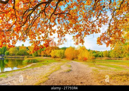 Malerische Aussicht auf einen Herbstwald und See, eingerahmt von anmutig herabhängenden Ästen einer Eiche, die mit goldgelben Blättern geschmückt ist, die essen fängt Stockfoto