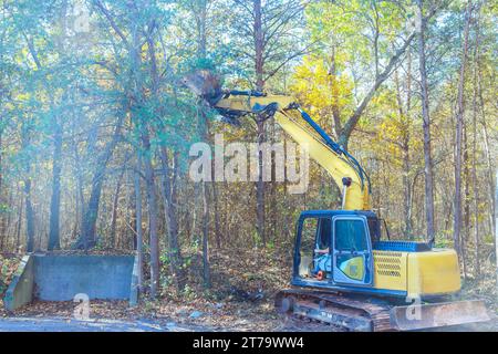 Der Bauunternehmer entwurzelt Bäume im Wald mit einem Traktor, damit Land für den Bau vorbereitet werden kann Stockfoto