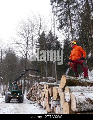 Eine männliche Figur, die eine Motorsäge im Freien in einer Waldumgebung bedient und einen Baumstamm durchschneidet Stockfoto