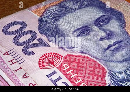 In dieser detaillierten Aufnahme wird das Porträt von Lesja Ukrainka auf einer 200 Griwna-Banknote ins Blickfeld gerückt, was eine hautnah dargestellte Perspektive auf die Ukrainisch bietet Stockfoto