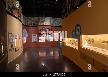 Das Charleston Museum, Amerikas erstes Museum in Charleston South Carolina Stockfoto