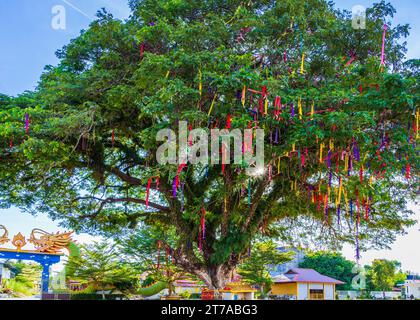 Der Wunschbaum für die Erfüllung der Gebete der Besucher des Tempels binden sie nach ihrem Gebet die bunten Bänder an den Ästen der Bäume. Stockfoto