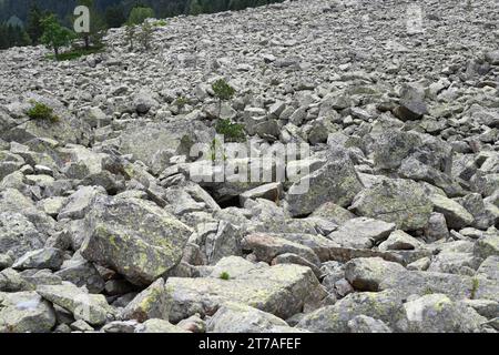 Muschelförmige Erosionsschelle. Dieses Foto wurde in Port de la Bonaigua, Lleida, Katalonien, Spanien aufgenommen. Stockfoto