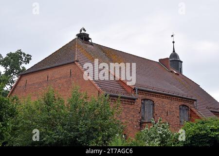 20.06.2020 Rühstädt Deutschland/Land Brandenburg/Storchendorf/alte Backsteinscheune/Storchennest auf dem Dach/Störche im Nest/Kirchturm *** 20 06 2020 Rühstädt Deutschland Land Brandenburg Storchendorf alte Backsteinscheune Storchennest auf dem Dach Störche im Nest Kirchturm Stockfoto