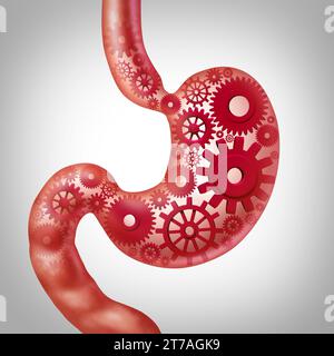 Der menschliche Stoffwechsel und die Verdauungsfunktion oder die Verdauung der Ernährung als Magen, der die Magen-Darm-Gesundheit oder den Verdauungsprozess repräsentiert. Stockfoto