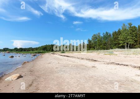 Wunderschöner Kolga Aabla Strand (Rand), karibischer Sandstrand umgeben von Wald an einem sonnigen Sommertag, Ostsee, Estland Stockfoto