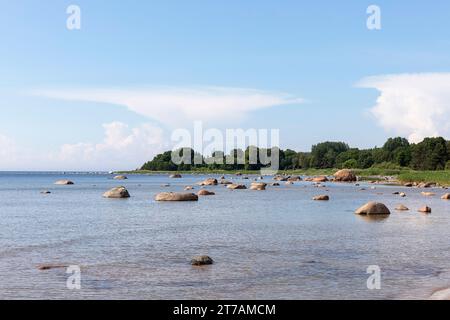 Felsen in der ostsee am malerischen Kolga Aabla Strand (Rand), karibischer Sandstrand umgeben von Wald an einem sonnigen Sommertag, Ostsee, Estland Stockfoto