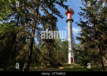 Spektakulärer Juminda Leuchtturm im Wald am Ende einer Juminda Halbinsel im Kreis Harju an einem sonnigen Sommertag, Ostsee, Estland Stockfoto