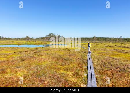 Touristenwanderer mit Backpac in der Nähe eines kleinen Sees, Teich auf einem Wanderweg im Viru Moor, Spaziergang auf der Promenade an einem schönen sonnigen Sommertag Estland, Europa Stockfoto