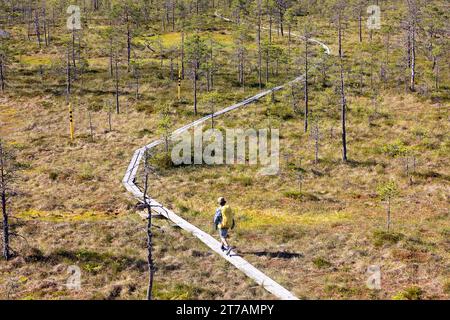 Touristenwanderer mit Backpac in der Nähe eines kleinen Sees, Teich auf einem Wanderweg im Viru Moor, Spaziergang auf der Promenade an einem schönen sonnigen Sommertag Estland, Europa Stockfoto