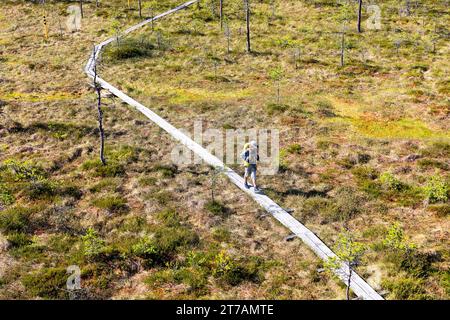 Touristenwanderer in der Nähe eines kleinen Sees, Teich auf einem Wanderweg im Viru Moor, Spaziergang auf der Promenade an einem schönen sonnigen Sommertag Estland, Europa Stockfoto