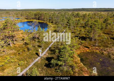 Touristenwanderer in der Nähe eines kleinen Sees, Teich auf einem Wanderweg im Viru Moor, stehend auf der Promenade an einem schönen sonnigen Sommertag Estland, Europa Stockfoto