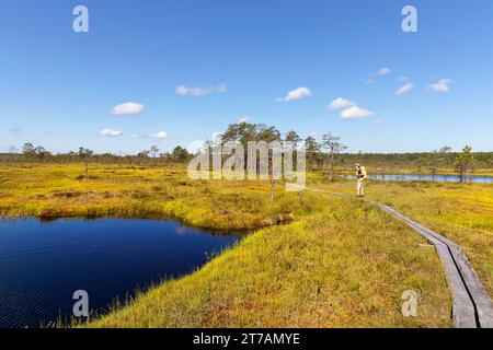 Touristenwanderer in der Nähe eines kleinen Sees, Teich auf einem Wanderweg im Viru Moor, stehend auf der Promenade an einem schönen sonnigen Sommertag Estland, Europa Stockfoto