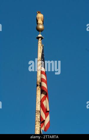 Rotschwanzfalke auf Fahnenmast im öffentlichen Park Queens, New York City Stockfoto