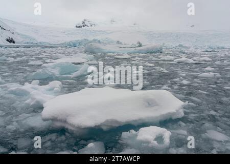 Curtiss Bay, Antarktis. Stockfoto