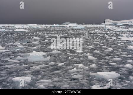 Curtiss Bay, Antarktis. Stockfoto