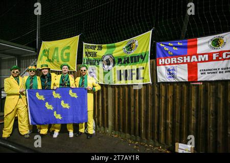 Horsham, Großbritannien. November 2023. Horsham Fans Flaggen während des 1. Runde Wiederholungsspiels des Horsham FC gegen Barnsley FC Emirates FA Cup im Camping World Community Stadium, Horsham, England, Großbritannien am 14. November 2023 Credit: Every Second Media/Alamy Live News Stockfoto