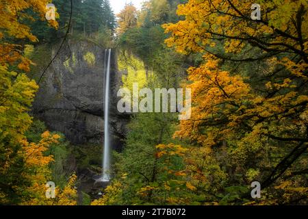 Das sind Latourell Falls in der Columbia River Gorge. Das Bild wurde im Herbst aufgenommen. Stockfoto
