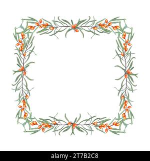 Quadratischer Rahmen mit Sanddornzweigen. Sanddorn, Graudorn. Reifer Saft, Orangenbeeren, grüne Blätter. Aquarellabbildung. Für Postkarten Stockfoto