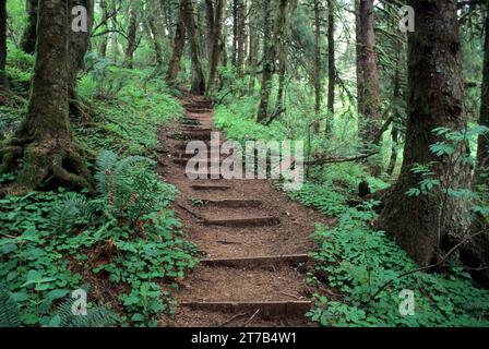 Cascade Kopf Trail, Cascade Kopf zu bewahren, Oregon Stockfoto