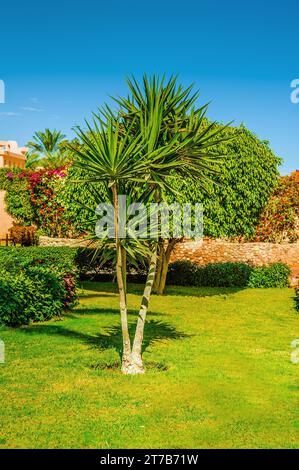 Außenansicht eines ägyptischen Hotels in Scharm el-Scheich. Stockfoto