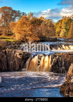 Ein herbstlicher Blick auf den Low Force Waterfall in der Nähe von Bowlees im oberen Teesdale, County Durham Stockfoto