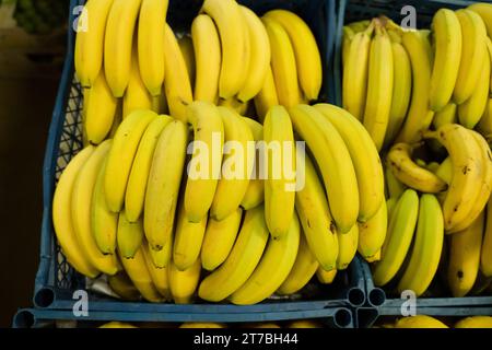 Frische Bananen in Plastikkisten auf dem großen Markt Stockfoto