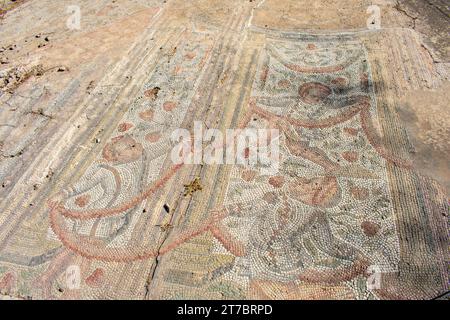 Panoramablick auf antike Ruinen mit Thermalbädern, archäologische Stätte in Karthago. Tunis, Tunesien Stockfoto