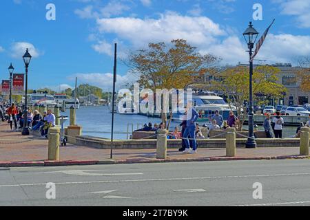 Der Hafenbereich in Annapolis MD Stockfoto