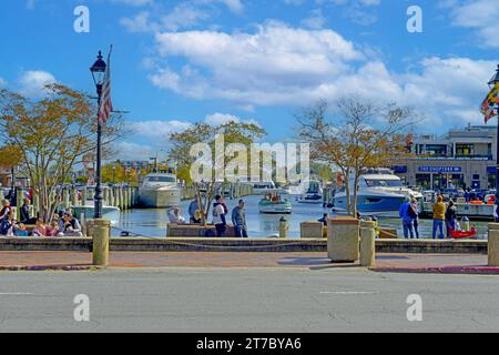 Der Hafenbereich in Annapolis MD Stockfoto