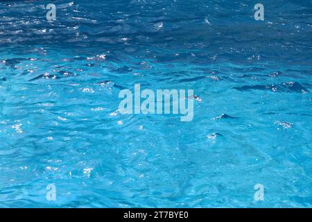 Das einladende azurblaue Wasser des Aquarius Pools befindet sich östlich auf Deck 9, Lido Deck des P&O Kreuzfahrtschiffes Arcadia im Mittelmeer Richtung Malta. Stockfoto