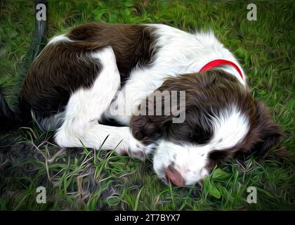 Digitales Ölgemälde eines jungen Springer-Spaniel-Hundes, der auf dem grünen Gras schläft Stockfoto