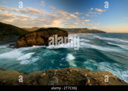 Bethells Beach, westlich von Auckland, auf Neuseelands Nordinsel. Stockfoto