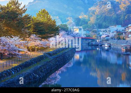 Kyoto, Japan - 1. April 2023: Präfekturaler Uji Park mit voller Kirschblüte ist das Symbol der Stadt Uji mit schöner Landschaft der Stadt und PR Stockfoto
