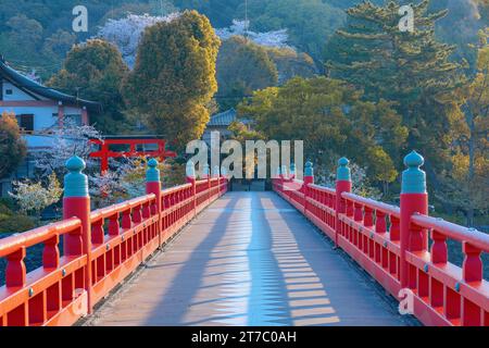 Kyoto, Japan - 1. April 2023: Präfekturaler Uji Park mit voller Kirschblüte ist das Symbol der Stadt Uji mit schöner Landschaft der Stadt und PR Stockfoto