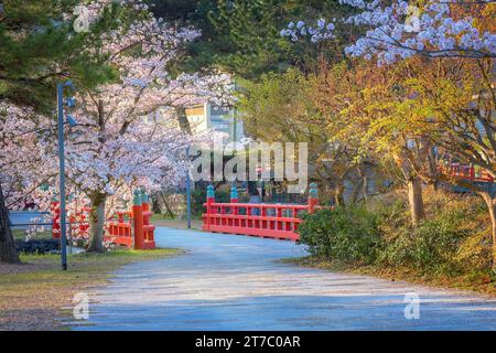 Kyoto, Japan - 1. April 2023: Präfekturaler Uji Park mit voller Kirschblüte ist das Symbol der Stadt Uji mit schöner Landschaft der Stadt und PR Stockfoto